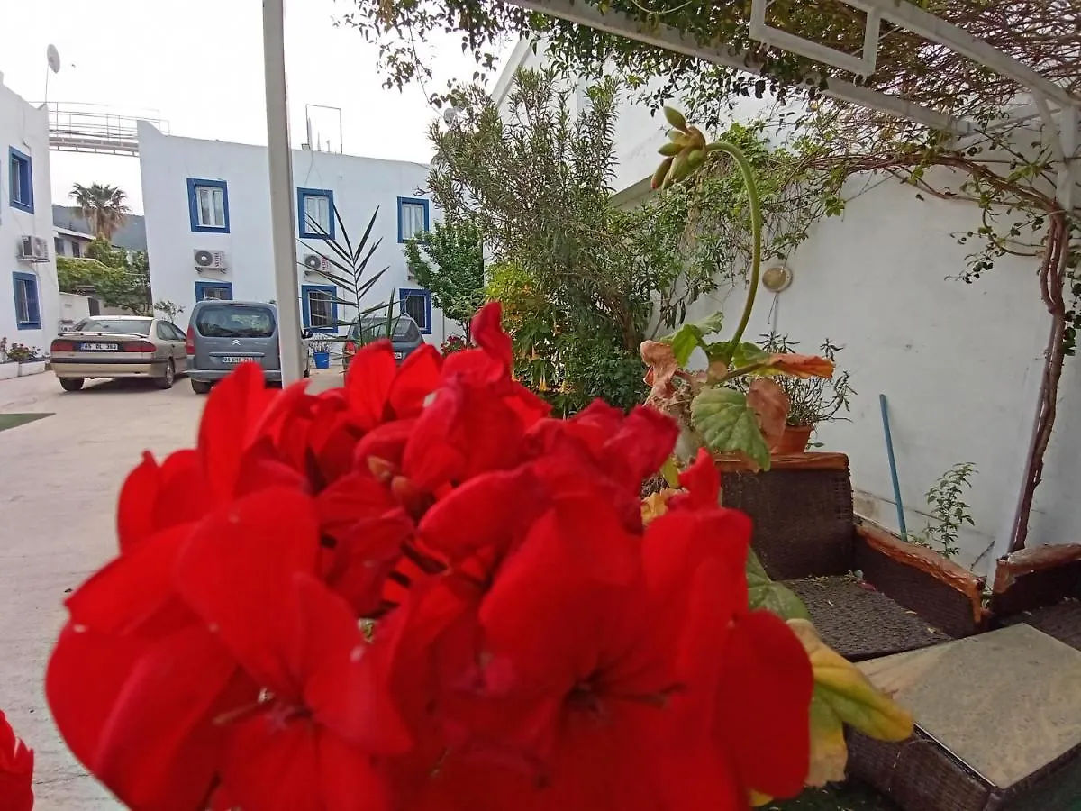 Pay Otel Bodrum Alloggio in famiglia